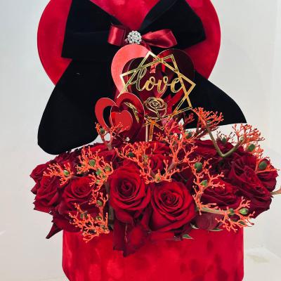 Sanvalentino 5