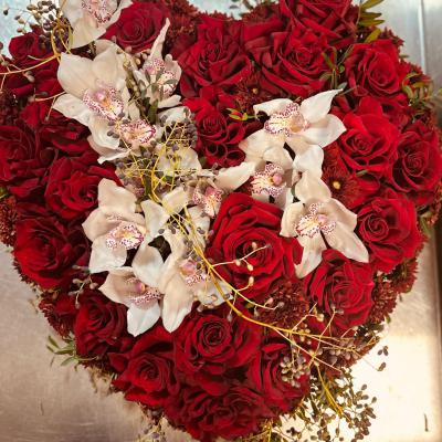 Sanvalentino 6