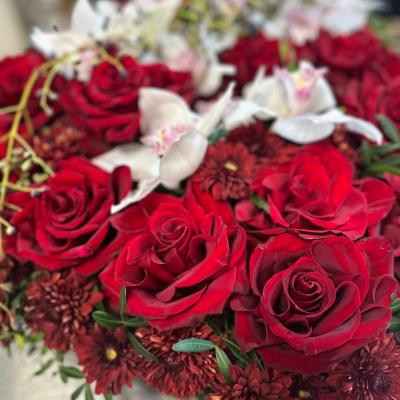Sanvalentino 7